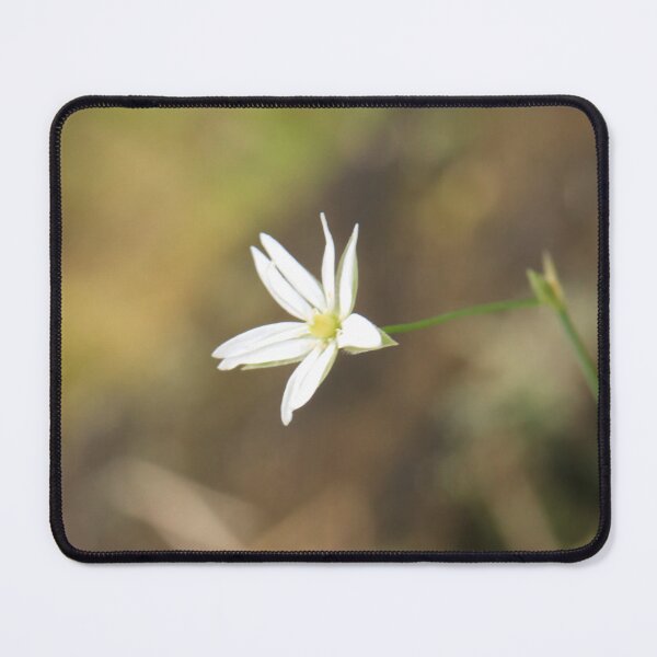 Item preview, Small White Wildflower Macro – Delicate Spring Nature designed and sold by vikko-art.