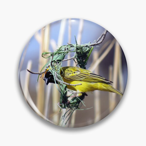 Item preview, Under Construction - Weaver Bird Nest designed and sold by HighEntorpyArt.