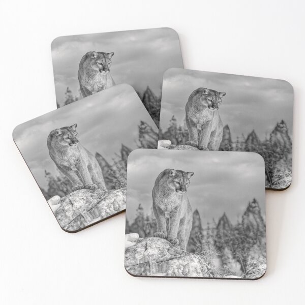 Item preview, Cougar walking on top of rocky mountain in the winter snow in black and white designed and sold by James Cumming.