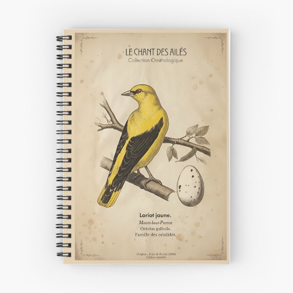 Item preview, Golden Oriole - Vintage Bird Illustration from 19th Century Atlas Print designed and sold by Jeeklsdotcom.