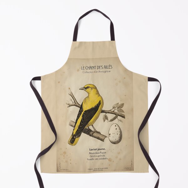 Item preview, Golden Oriole - Vintage Bird Illustration from 19th Century Atlas Print designed and sold by Jeeklsdotcom.