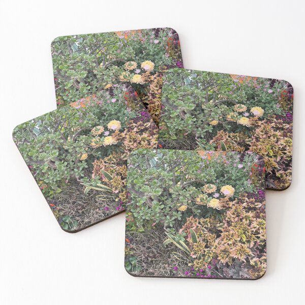Item preview, Majestic Jade Tree Autumn Garden designed and sold by Carolly Dawn Photography.