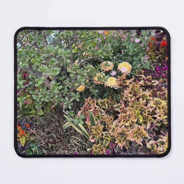 Item preview, Majestic Jade Tree Autumn Garden designed and sold by Carolly Dawn Photography.