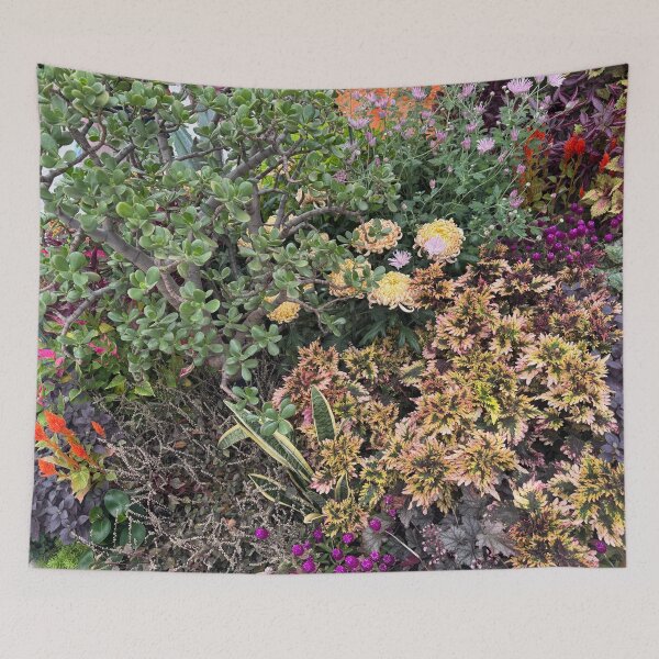 Item preview, Majestic Jade Tree Autumn Garden designed and sold by Carolly Dawn Photography.
