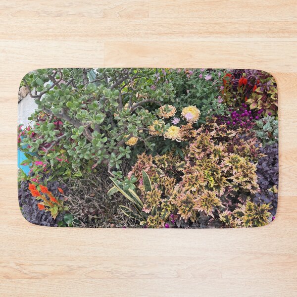 Item preview, Majestic Jade Tree Autumn Garden designed and sold by Carolly Dawn Photography.