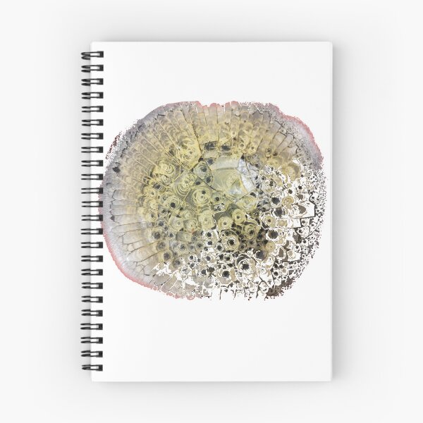 Item preview, Natural geometric shape designed and sold by Kalhanne.