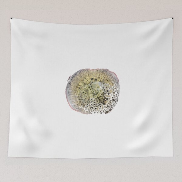 Item preview, Natural geometric shape designed and sold by Kalhanne.
