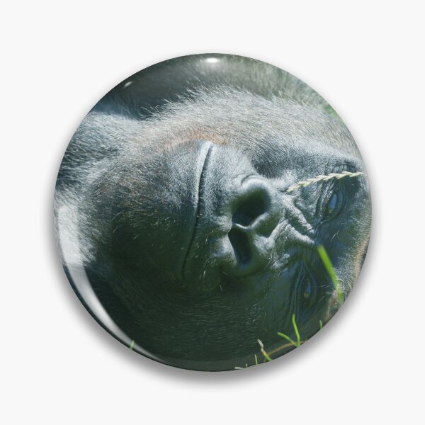 Item preview, Gorilla Lope’s Peaceful Summer Dream designed and sold by rawshutterbug.