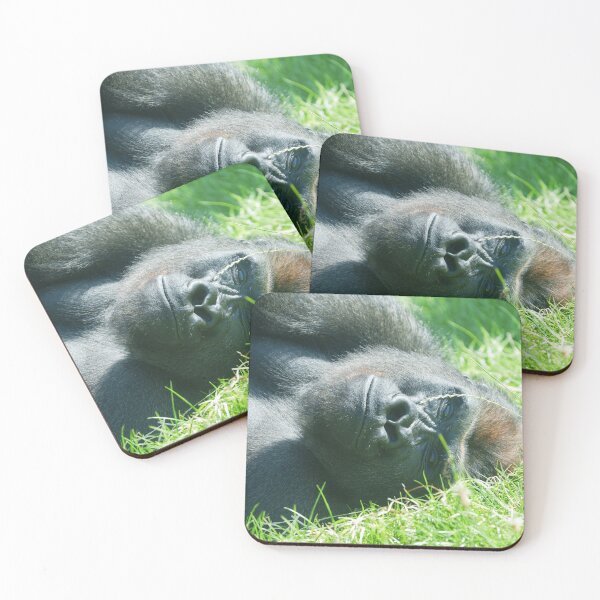 Item preview, Gorilla Lope’s Peaceful Summer Dream designed and sold by rawshutterbug.