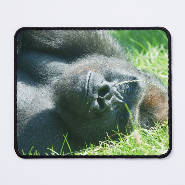 Item preview, Gorilla Lope’s Peaceful Summer Dream designed and sold by rawshutterbug.