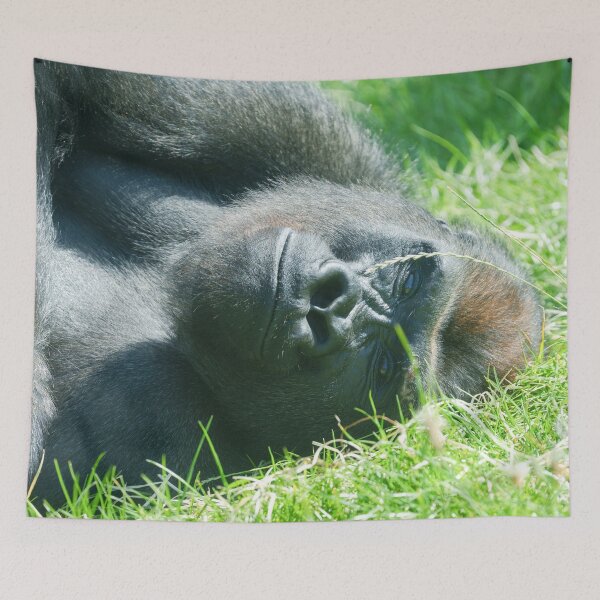 Item preview, Gorilla Lope’s Peaceful Summer Dream designed and sold by rawshutterbug.