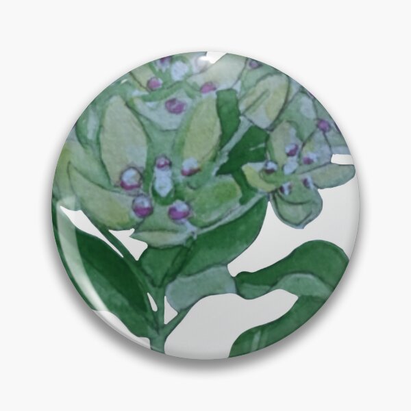Item preview, Watercolor Antelope Horn Milkweed designed and sold by Katie Morris Art.