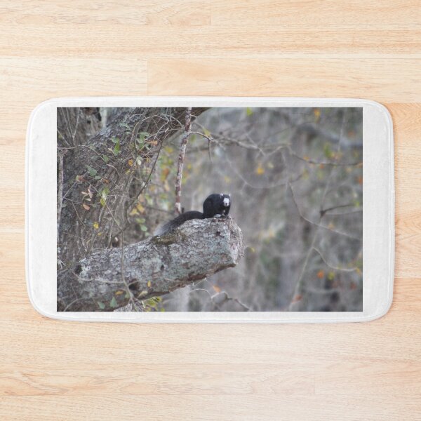 Item preview, Black Squirrel on a Tree Branch designed and sold by Cynthia48.