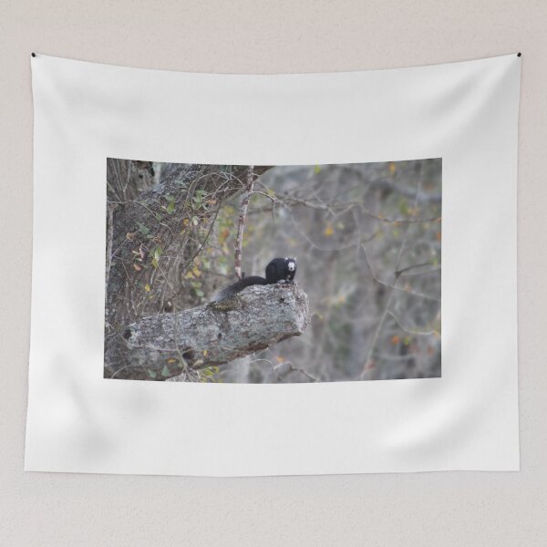 Item preview, Black Squirrel on a Tree Branch designed and sold by Cynthia48.