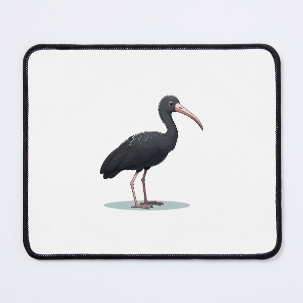 Item preview, A cute black ibis standing on a light blue surface with a curious expression. designed and sold by cave-canvas.