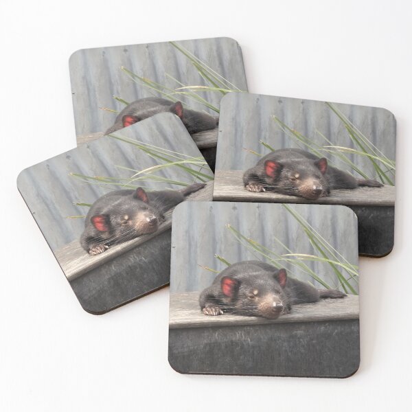 Item preview, Meet the Tasmanian Devil: Australia's Unique and Fierce Marsupial designed and sold by Photogenic Snap.