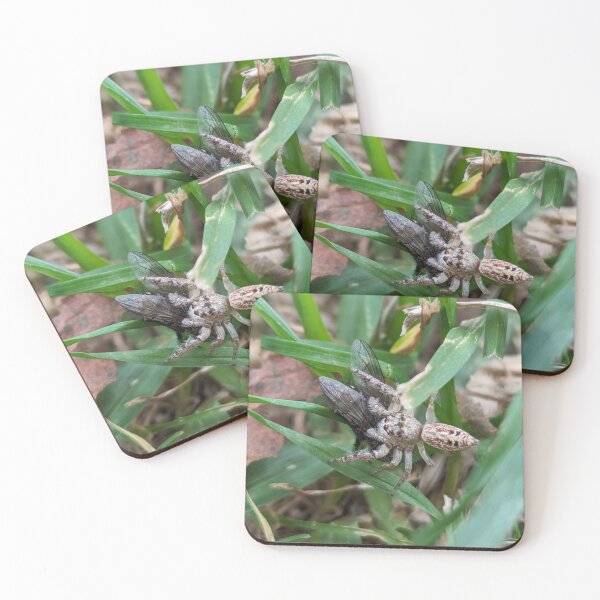 Item preview, Nature's Predators: Stunning Jumping Spider designed and sold by Photogenic Snap.
