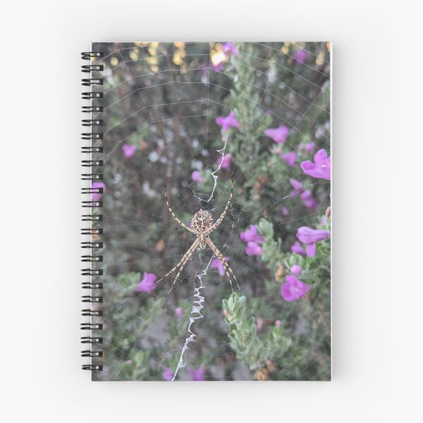 Item preview, Nature's Architecture: Orb Weaver Spider designed and sold by Photogenic Snap.