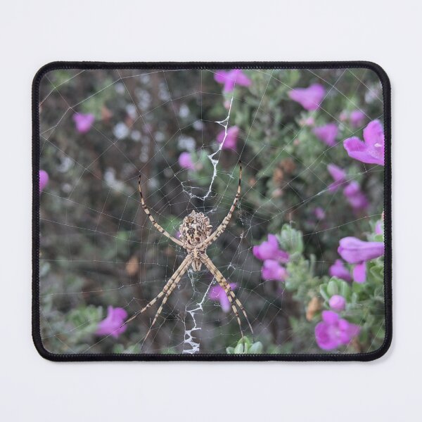 Item preview, Nature's Architecture: Orb Weaver Spider designed and sold by Photogenic Snap.