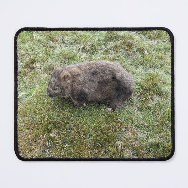 Item preview, Wombat Wonders: Australia's Cutest Critter designed and sold by Photogenic Snap.