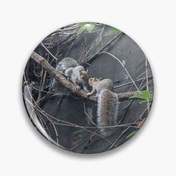 Item preview, Urban Wildlife: A Tender Squirrel Encounter Caught on Camera designed and sold by Photogenic Snap.