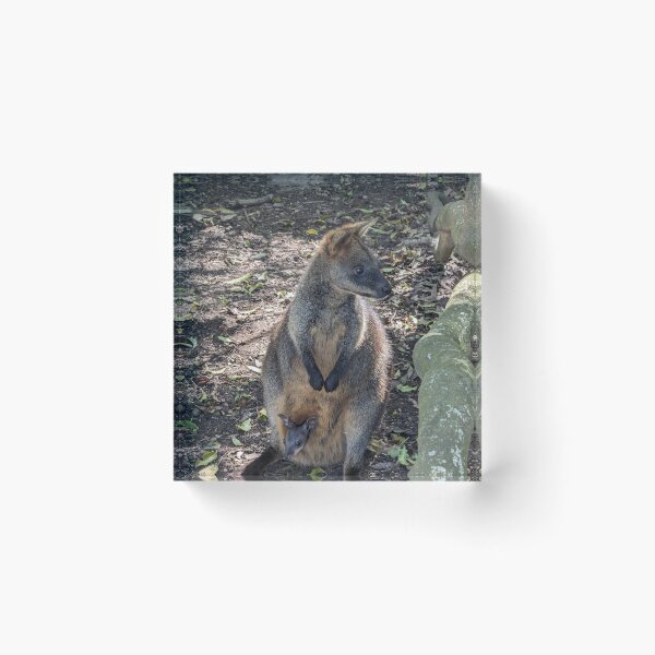 Item preview, Cutest Pouch Cargo: Adorable Baby Wallaby Joey Peeking Out designed and sold by Photogenic Snap.