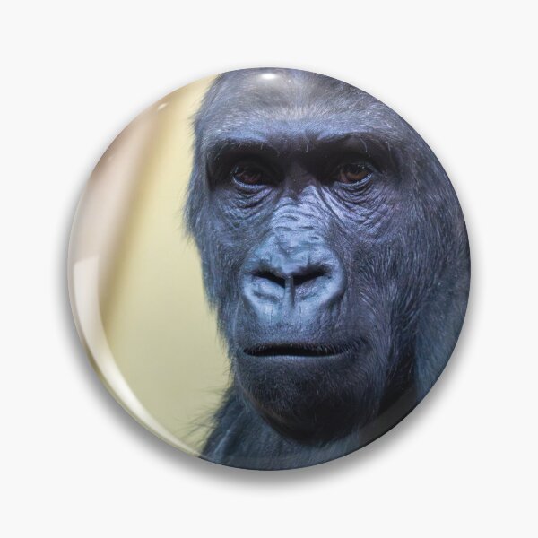 Item preview, Close-up portrait of a gorilla with an expressive face and dark fur. Detailed view highlights intelligent eyes and natural texture against a soft, blurred zoo or wildlife background.	 designed and sold by Alenus.