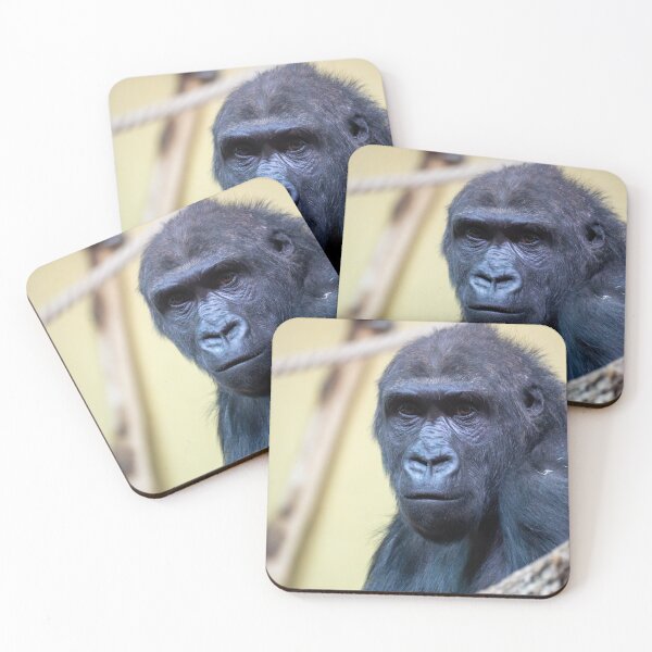 Item preview, Close-up portrait of a gorilla with an expressive face and dark fur. Detailed view highlights intelligent eyes and natural texture against a soft, blurred zoo or wildlife background.	 designed and sold by Alenus.