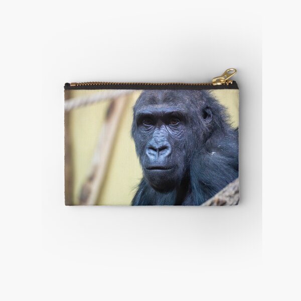 Item preview, Close-up portrait of a gorilla with an expressive face and dark fur. Detailed view highlights intelligent eyes and natural texture against a soft, blurred zoo or wildlife background.	 designed and sold by Alenus.