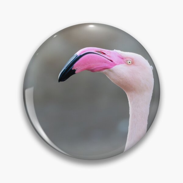 Item preview, Elegant flamingo portrait with long curved neck and bright pink beak, isolated against a soft blurred background. Minimalist wildlife image with copy space designed and sold by Alenus.