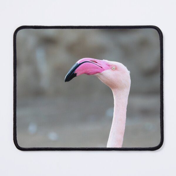 Item preview, Elegant flamingo portrait with long curved neck and bright pink beak, isolated against a soft blurred background. Minimalist wildlife image with copy space designed and sold by Alenus.
