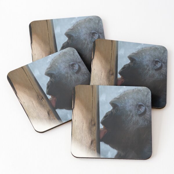 Item preview, Side view of a gorilla licking a wooden post in a zoo enclosure. Close-up captures natural primate behavior, curiosity, and texture of fur and wood against a soft background designed and sold by Alenus.