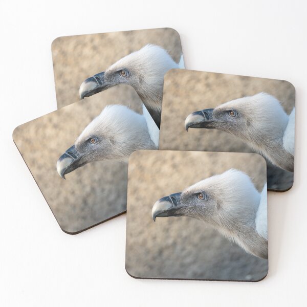 Item preview, Close-up portrait of a vulture with fluffy white head and curved beak, captured in soft natural light. Detailed wildlife bird image with shallow depth of field.	 designed and sold by Alenus.