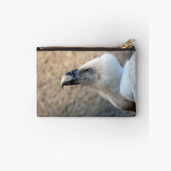 Item preview, Close-up portrait of a vulture with fluffy white head and curved beak, captured in soft natural light. Detailed wildlife bird image with shallow depth of field.	 designed and sold by Alenus.