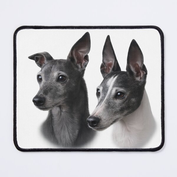 Item preview, Two black & white whippet heads designed and sold by McSilkens.