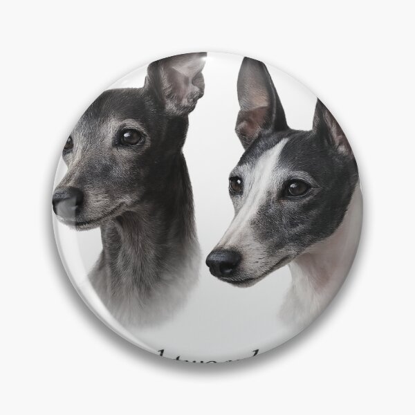 Artikelvorschau, Zwei schwarz-weiße Whippets entworfen und verkauft von McSilkens.