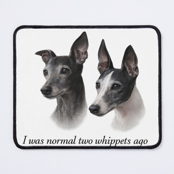 Item preview, Two black & white whippets designed and sold by McSilkens.