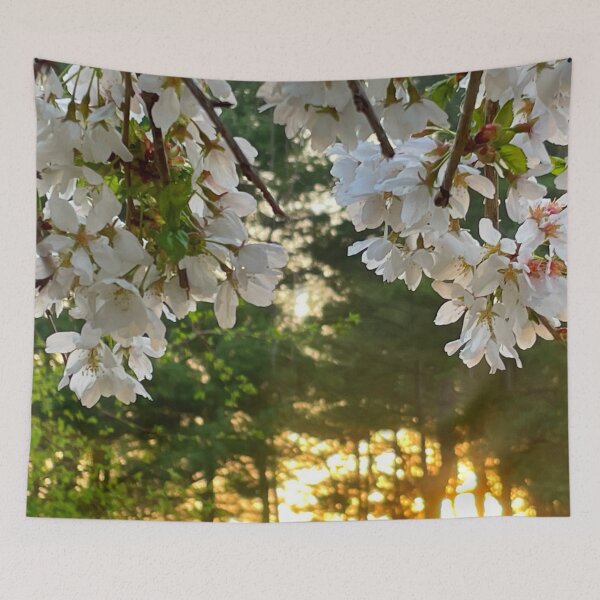 Item preview, White Cherry trees | sunrise | pine trees | morning glow | dawns early light designed and sold by hollycooper.