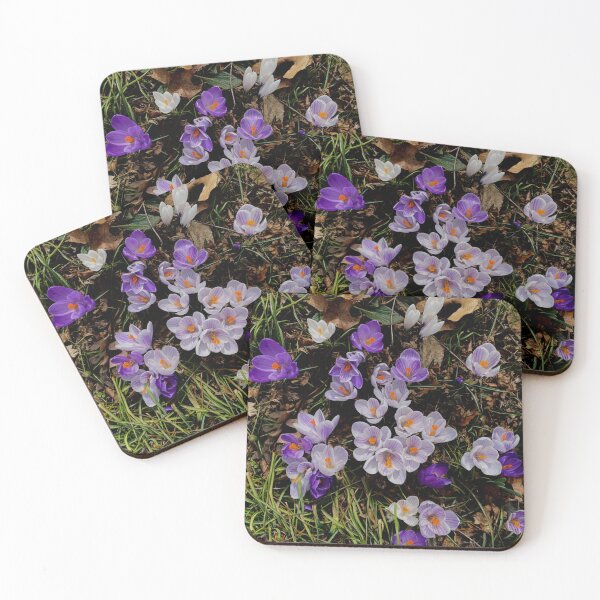 Item preview, Purple crocuses | Spring bulbs | white crocuses designed and sold by hollycooper.