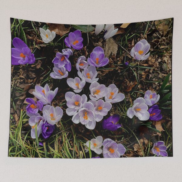Item preview, Purple crocuses | Spring bulbs | white crocuses designed and sold by hollycooper.