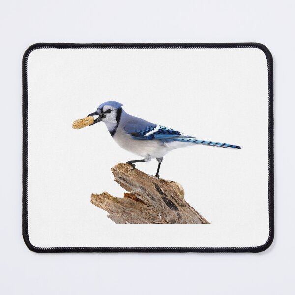 Item preview, This is my peanut! Blue Jay designed and sold by James Cumming.