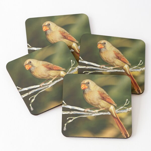 Item preview, The Female Cardinal designed and sold by Kay Brewer.