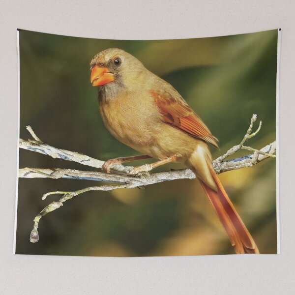 Item preview, The Female Cardinal designed and sold by Kay Brewer.