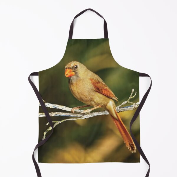 Item preview, The Female Cardinal designed and sold by Kay Brewer.