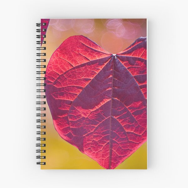 Artikelvorschau, Herzförmiges rotes Blatt entworfen und verkauft von StylishDecor.
