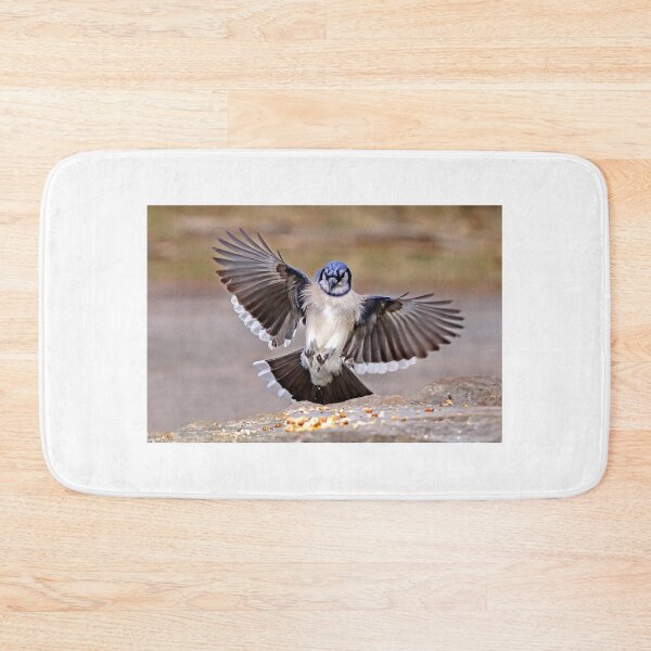 Item preview, Blue Jay Landing designed and sold by James Cumming.