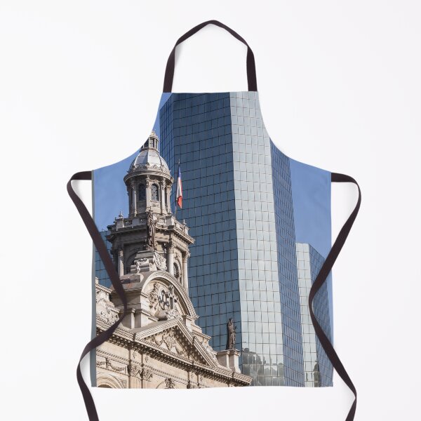 Item preview, Chile. Santiago. Cathedral. Detail. designed and sold by vadim19.