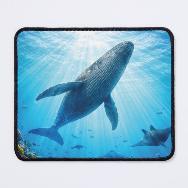 Item preview, Whale Scene, Maldives designed and sold by ArtofDissent.