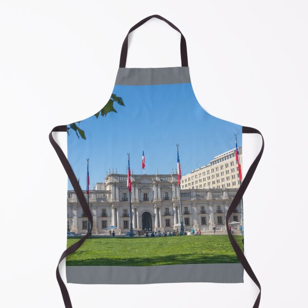 Item preview, Chile. Santiago. La Moneda Palace. designed and sold by vadim19.