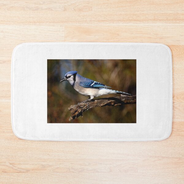 Artikelvorschau, Blue Jay entworfen und verkauft von James Cumming.